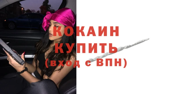 2c-b Гусев