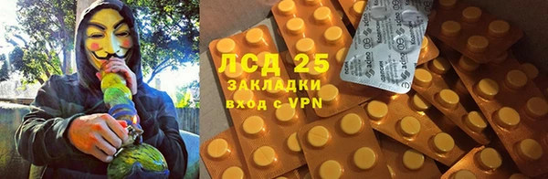 2c-b Гусев