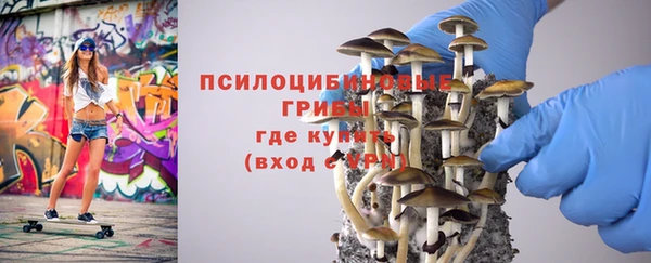 ешки Гусиноозёрск