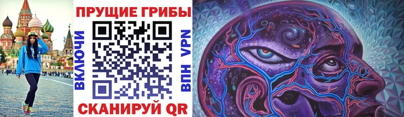 Купить где  Болохово  Галлюциногенные грибы GOLDEN TEACHER 