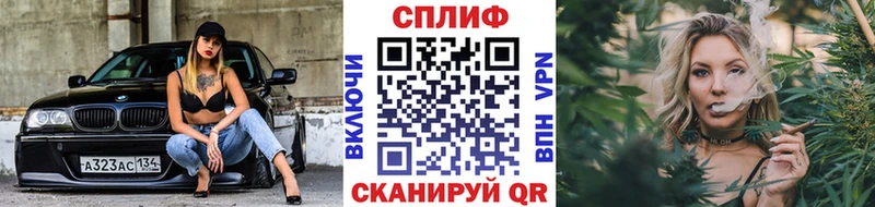 Купить где  Болохово  Бошки марихуана планчик 